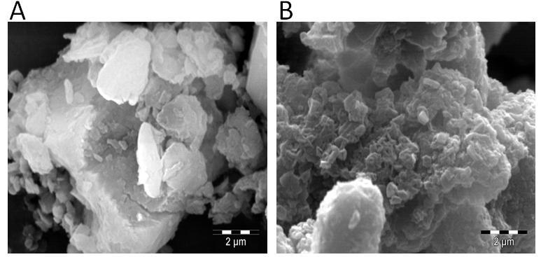19 Figura 2 - Micrografia obtida por MEV do CA e CAZ Fonte: Próprio autor. Observa-se pelas micrografias que após o processo de ativação (FIG.
