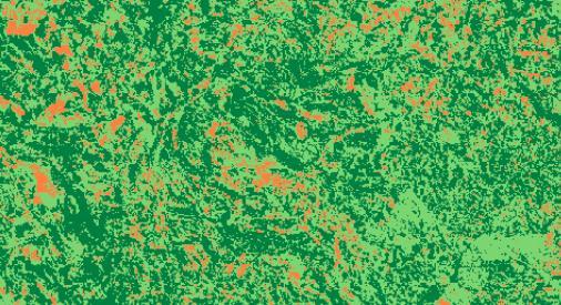 A imagem da subtração NDVI classificada para avaliar a variação da cobertura vegetal mostrou que ocorreu uma alteração negativa na densidade da cobertura vegetal de aproximadamente 33,6 km 2, sendo