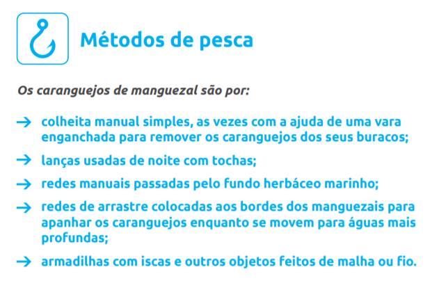 Papel ecológico Malacostraca Subclasse Decapoda A coleta de caranguejos têm impactado