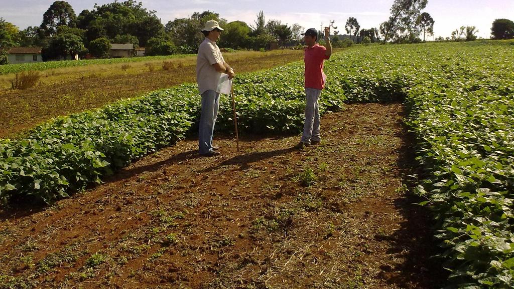 Evitar o uso de áreas não-plantadas