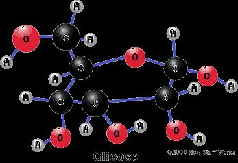 Carboidratos (Glicídios) Moléculas