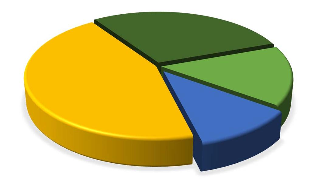 1empresa 2% Nível 1 16 empresas 34% Nível 1 7empresas 16%