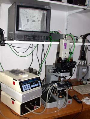 Equipamento Microscópio Sistema de