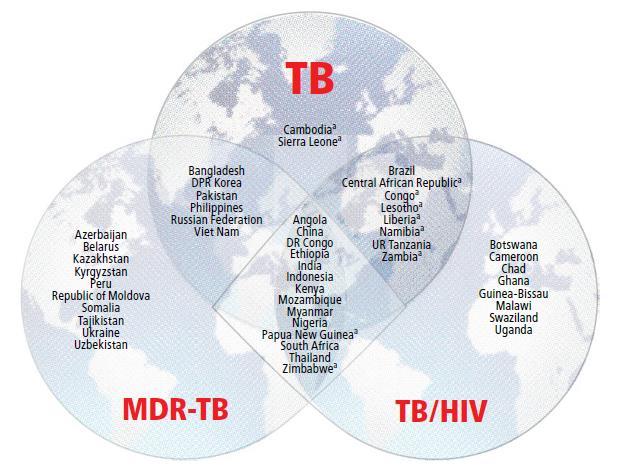 Tuberculose: doença antiga, mundial 10.4 milhões casos TB por ano (+/- 1.