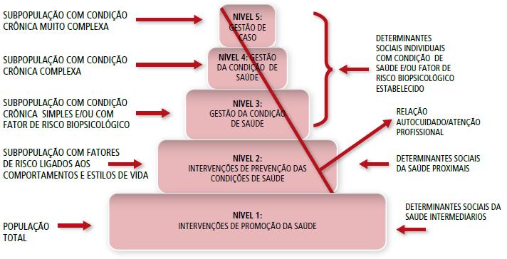 O MODELO DE ATENÇÃO ÀS CONDIÇÕES