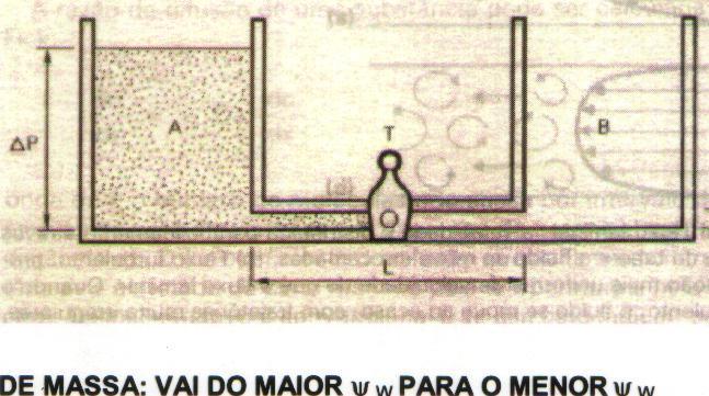 ABSORÇÃO DE ÁGUA E DE SAIS MINERAIS FLUXO