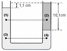 2. A figura seguinte representa, em esquema, um tubo em U contendo dois líquidos não miscíveis, água e óleo X. A altura da coluna de óleo é 10,1 cm.