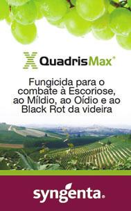 Licenciado em Gestão Agrícola pela UTAD e com várias pós-graduações na área dos vinhos e da gestão, Vasco Cunha Coutinho tem uma vasta experiência acumulada no sector, designadamente na Montez