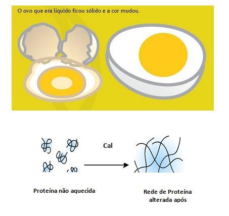 da proteína. A proteína modificada não exerce sua função.