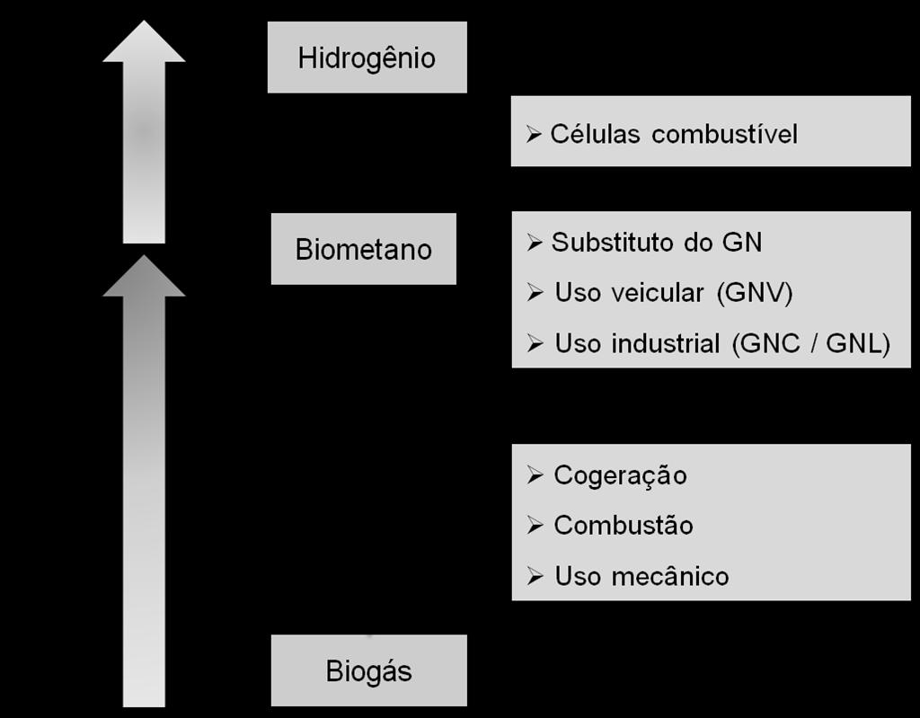 Fluxograma da