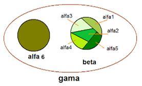 Tipos de Diversidade Diversidade Alfa (diversidade local, número de espécies numa pequena área homogênea) Diversidade Beta (diversidade entre habitats, observada na heterogeneidade da estrutura da