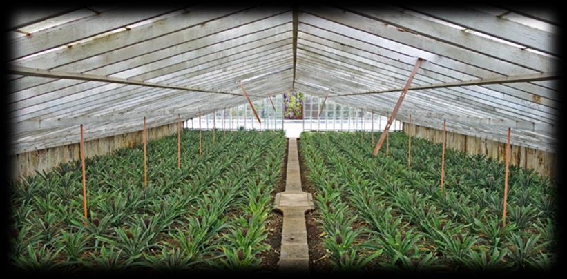 B. Aspetos de sustentabilidade ambiental considerados Este projeto arrancou com um trabalho de pesquisa feito pelas três turmas do 9.