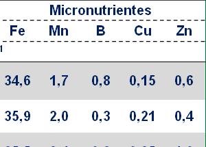 QUANTIDADE DE NUTRIENTES ACUMULADOS PELA GRAMA (EXTRAÇÃO) Macronutrientes Micronutrientes Autortratamento N P K Ca Mg