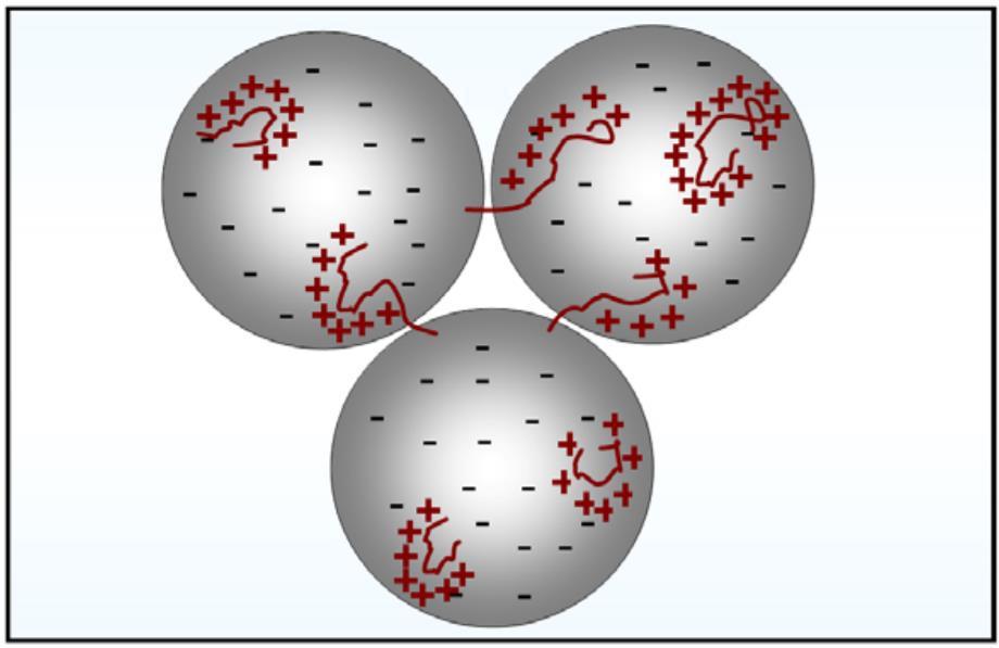 24 Figura 7 - Demonstração do Floculante adsorvido de forma plana nas partículas.