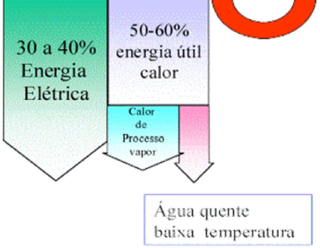 Biomassa de