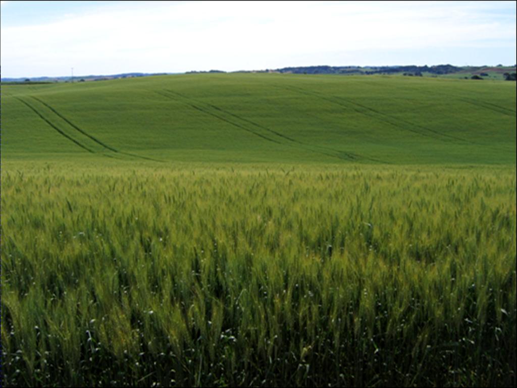 Zonas agrícolas en expansión: impactos y desafios impuestos por