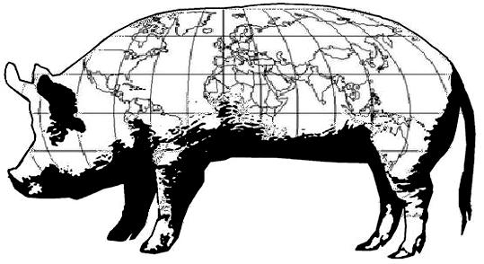 5 Panorama Internacional A carne suína é a proteína mais consumida no mundo, com uma produção de 115 milhões de toneladas, sendo quase a metade produzida na China e outro terço na União Européia (UE)