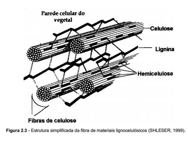 REVISÃO BIBLIOGRÁFICA Estrutura química da celulose (FERRAZ,