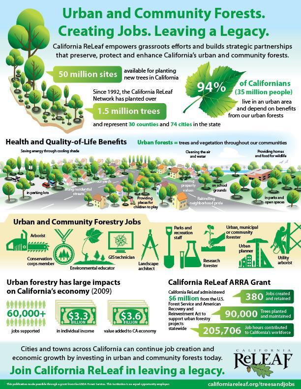 Benefícios da Arborização Urbana Valorização