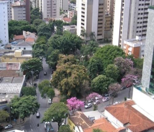 Conceito de Arborização Urbana Conjunto da vegetação