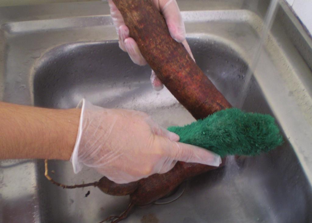 Fatiamento: fatiar as raízes no sentido transversal em cortador de frios (do
