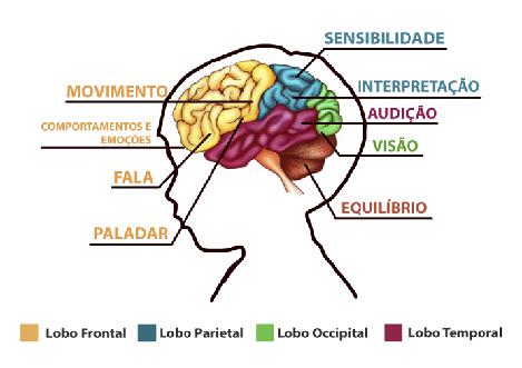 APRENDIZAGEM Relvas, 2011.