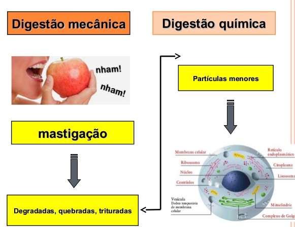 FUNÇÕES 2.