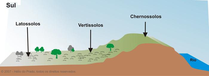 Relação Solos/paisagem do Sul