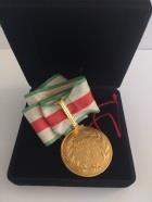 Medalha Cultural Aluísio de Almeida, com pin