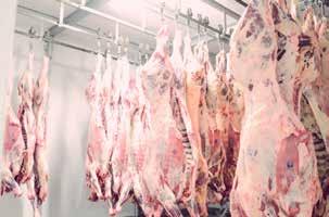 As famílias dos dois sócios também trabalham na indústria, que tem licença para comercializar carnes em todo o país.