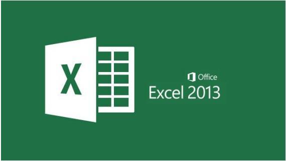 Excel 2013 Prof.