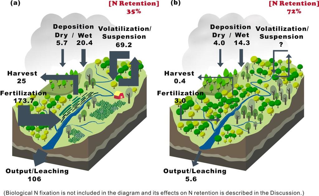As atividades agrícolas são promotoras de lixiviação de nitratos e a floresta e cobertura natural são retentoras de nitratos Schematic diagram of N fluxes of watersheds A1 and