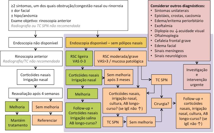 FIGURA 2 Protocolo de atuação na RSC (cuidados de saúde primários) e RSCsPN RSC: Rinossinusite crónica. TC SPN: Tomografia computorizada dos seios perinasais.