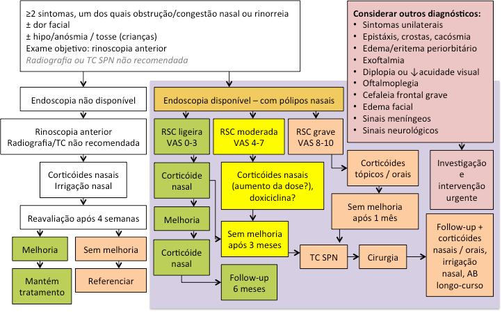Rinossinusite crónica com pólipos nasais (RSCcPN) Na Figura 3 é apresentado o protocolo de atuação na RSC nos cuidados de saúde primários (secção endoscopia não disponível) (p.