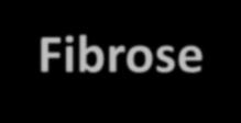 5952 + 2,037 r 2 = 0,61 p < 0,0001 HP Relacionada a Fibrose HP Pouco Relacionada a