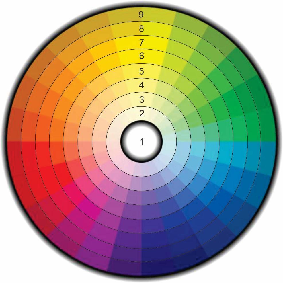 5 Figura 1 Palheta de cores para atribuição do coeficiente de cor O critério para atribuição do coeficiente de cor é qualitativo e deve obedecer ao que estabelece a Tabela 1, em função da posição do