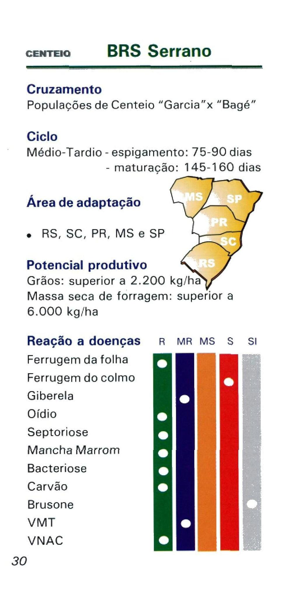 CENTEIO BRS Serrano Cruzamento Populações de Centeio Garcia"x "Bagé" Ciclo Médio-Tardio - espigamento: 75-90 dias - maturacão: 145-160 dias Área de adaptação RS, SC, PR, MS e SP 30 Potencial