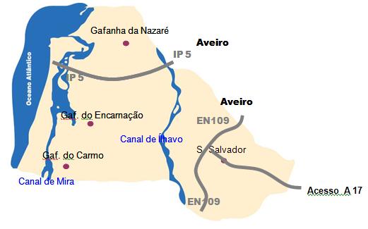 Do Município, destaca-se a Freguesia de São Salvador (Sede de Município), como a mais populosa (16 597 habitantes), seguido da Gafanha da Nazaré (14756 habitantes) sendo a freguesia mais densa