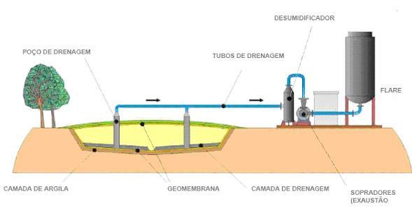 Estrutura do