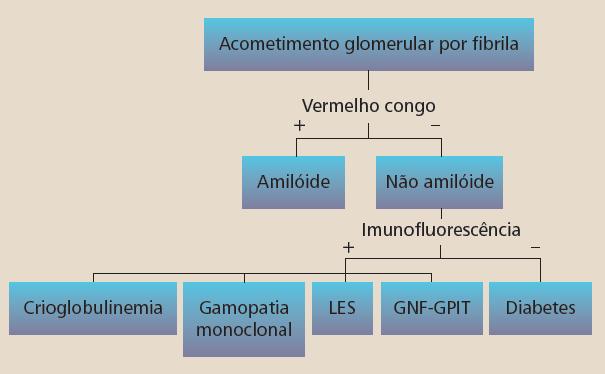 Amiloidose: Grupo de doenças que se caracteriza pelo depósito extracelular de substância amorfa com aspecto fibrilar β pregueado à microscopia