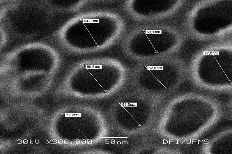 Figura 10 : Imagens de MEV da superfície do eletrodo de Ti/TiO 2 /Ag preparado pela aplicação de 20 V por 200 h. Diâmetro médio = 65,8 nm Machulek et al.