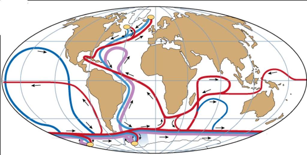 Fundamentação Teórica Oceanografia e Clima A AMOC, sigla em inglês para Célula de Revolvimento Meridional do Atlântico, é a parte da circulação termohalina global, descrita pela primeira vez por