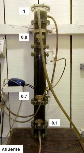26 Figura 3- Pontos de coleta nos RCAALF para realização das análises físico-químicas Fonte: Autoria própria. 4.