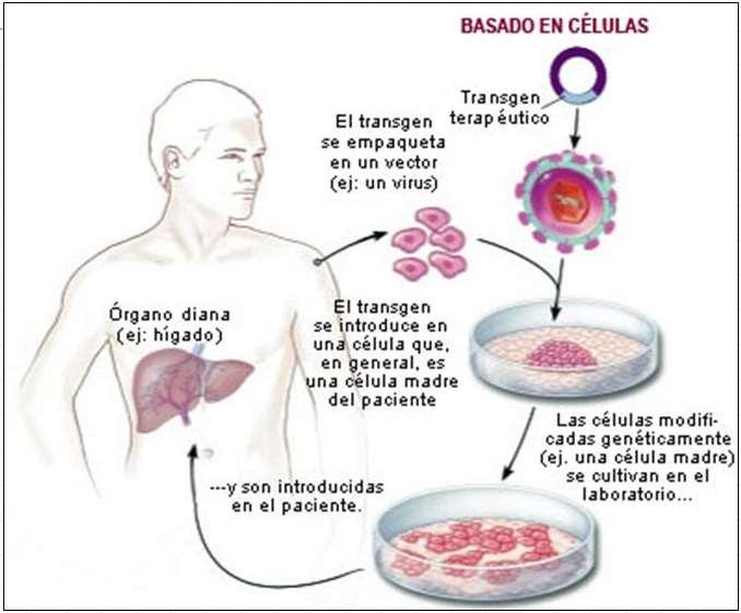 CRISPR Cruz NM, Freedman BS.