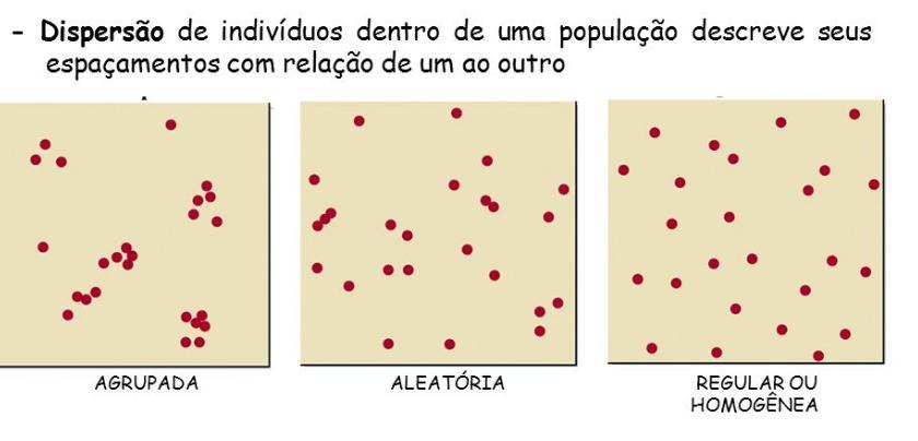 Dispersão