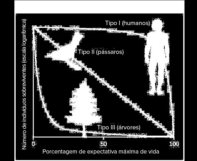 Taxa de