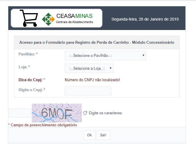 Ao clicar no link do Formulário para Acesso dos Concessionários, será exibido a página que deverá ser