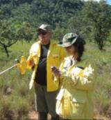 Efeitos de diferentes regimes de fogo sobre a vegetação Isabel Belloni Schmidt Departamento de Ecologia Universidade de Brasília isabels@unb.