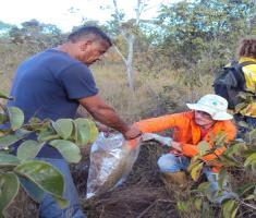 Unidades de Conservação Parque Nacional Chapada das Mesas MA ESEC Serra Geral de Tocantins - TO Parque Estadual do TO Área de Proteção Ambiental do - TO Equipes gestoras, brigadistas, moradores