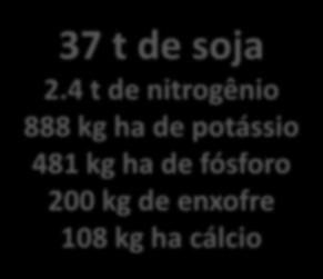 4 t de nitrogênio 888 kg ha de potássio